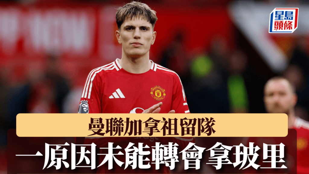 的成功案例